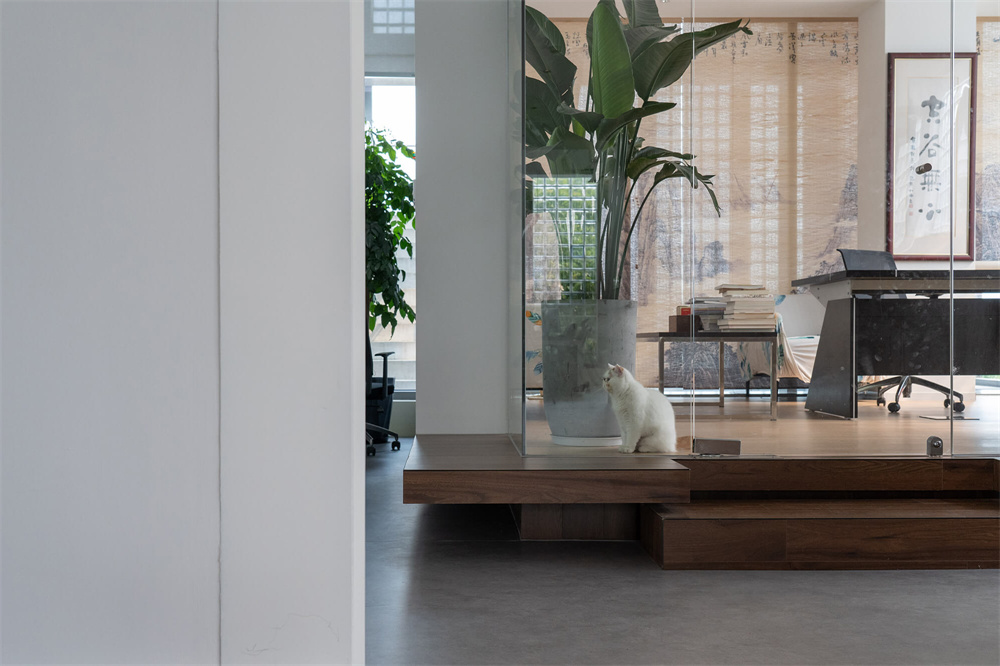 郑州办公室设计公司焦点品牌管理办公室装修案例(图12) DM_20220830154837_014.jpg