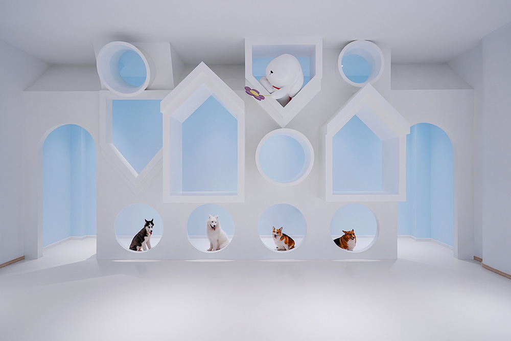 宠物店装修公司—狗狗派萌宠中心设计案例分享(图1) 宠物店装修公司—狗狗派萌宠中心设计案例分享(图1)