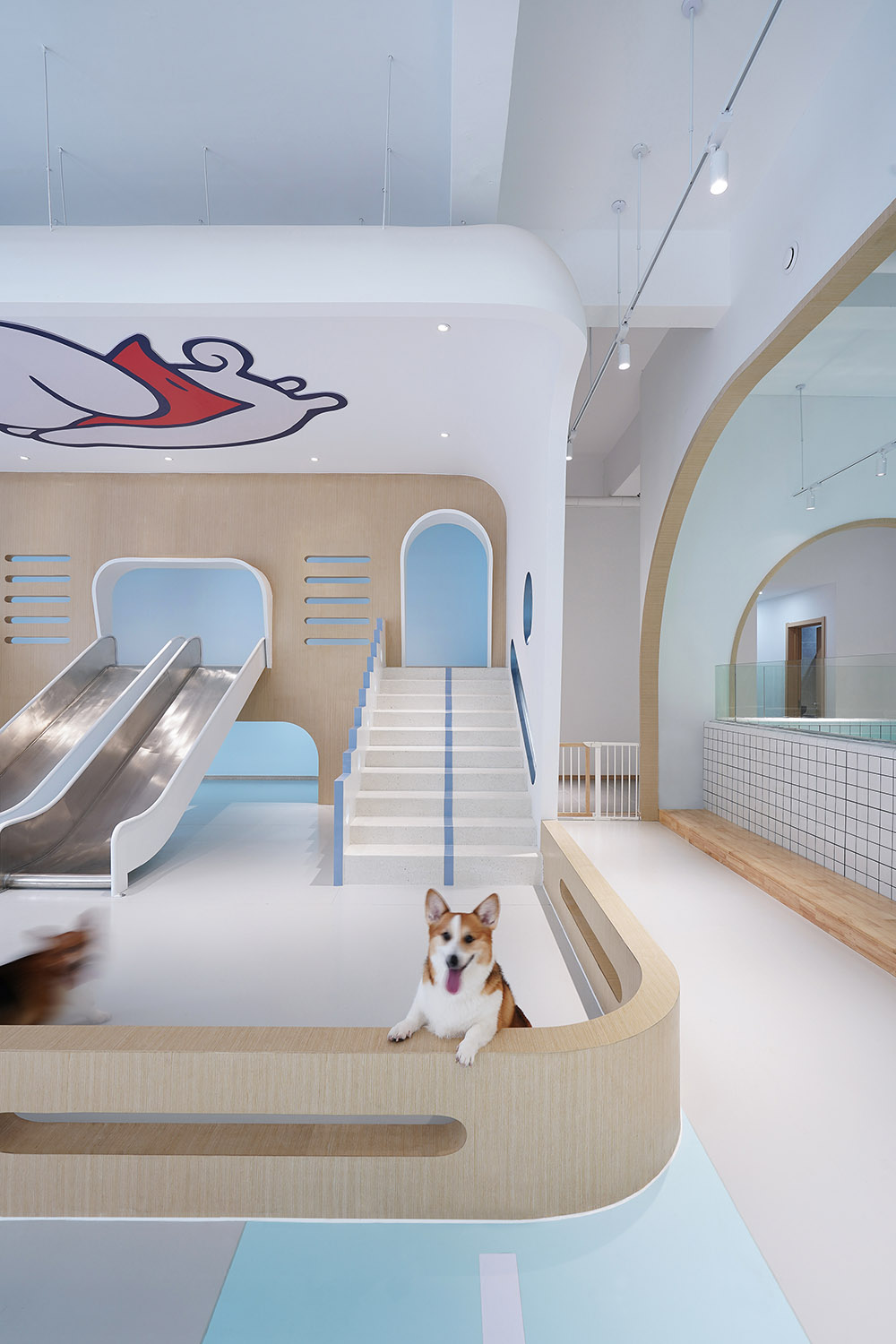 宠物店装修公司—狗狗派萌宠中心设计案例分享(图3) 宠物店装修公司—狗狗派萌宠中心设计案例分享(图3)