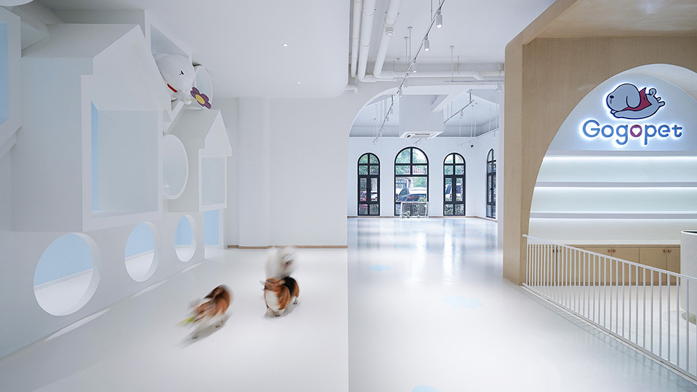 宠物店装修公司—狗狗派萌宠中心设计案例分享(图6) 宠物店装修公司—狗狗派萌宠中心设计案例分享(图6)